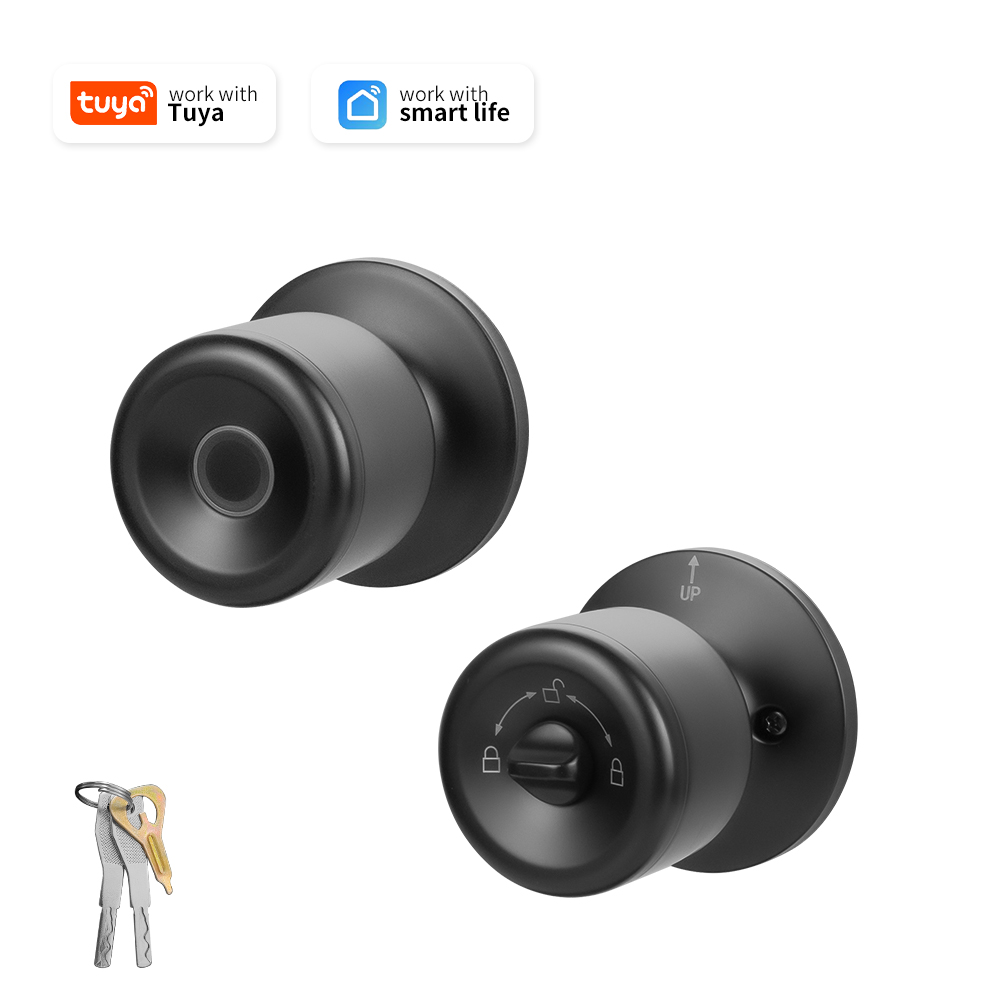 Unique Electronics Gadgets - Tuya Smart Door Lock Fingerprint Unlocking