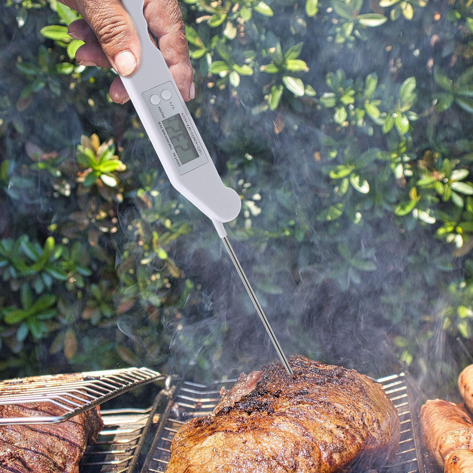 Folding Electronic Thermometer - Electronics And Gadgets reseña y precio