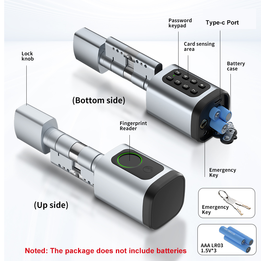 RAYKUBE V1 Tuya BLE TT Lock Sm - Unique Electronics Gadgets reseña y precio